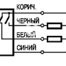 Индуктивный датчик SI-12M65C4NPA200D.1