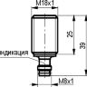 Габаритный чертеж ISB BC42A-31N-8-LS40