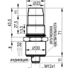 Емкостный датчик CSN WC46B8-31P-8-LZS4-2H