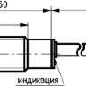 Габаритный чертеж ISB A4A8-31P-5F-LZT1-C-P