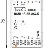 Схема подключения BC N1-1R-AR-AC220-C