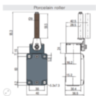 FD 553-E11M2V9 Pizzato Elettrica Кінцевий вимикач з фарфоровим важелем, 1NO+1NC, IP67, 