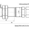 Габаритный чертеж ISBm WG46B8-31PS-4-250-Z-V-P1-10